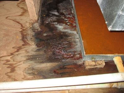 About Meridian Water Damage Restoration - water damage restoration experts in Meridian